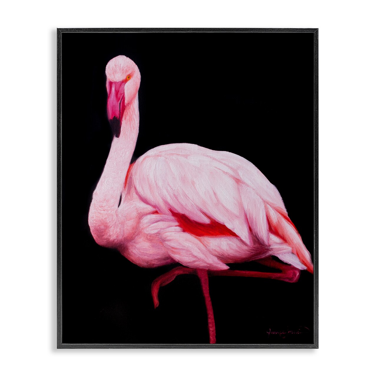 Stupell Industries Contrasting Flamingo on Black Framed Giclee, design by James Corwin